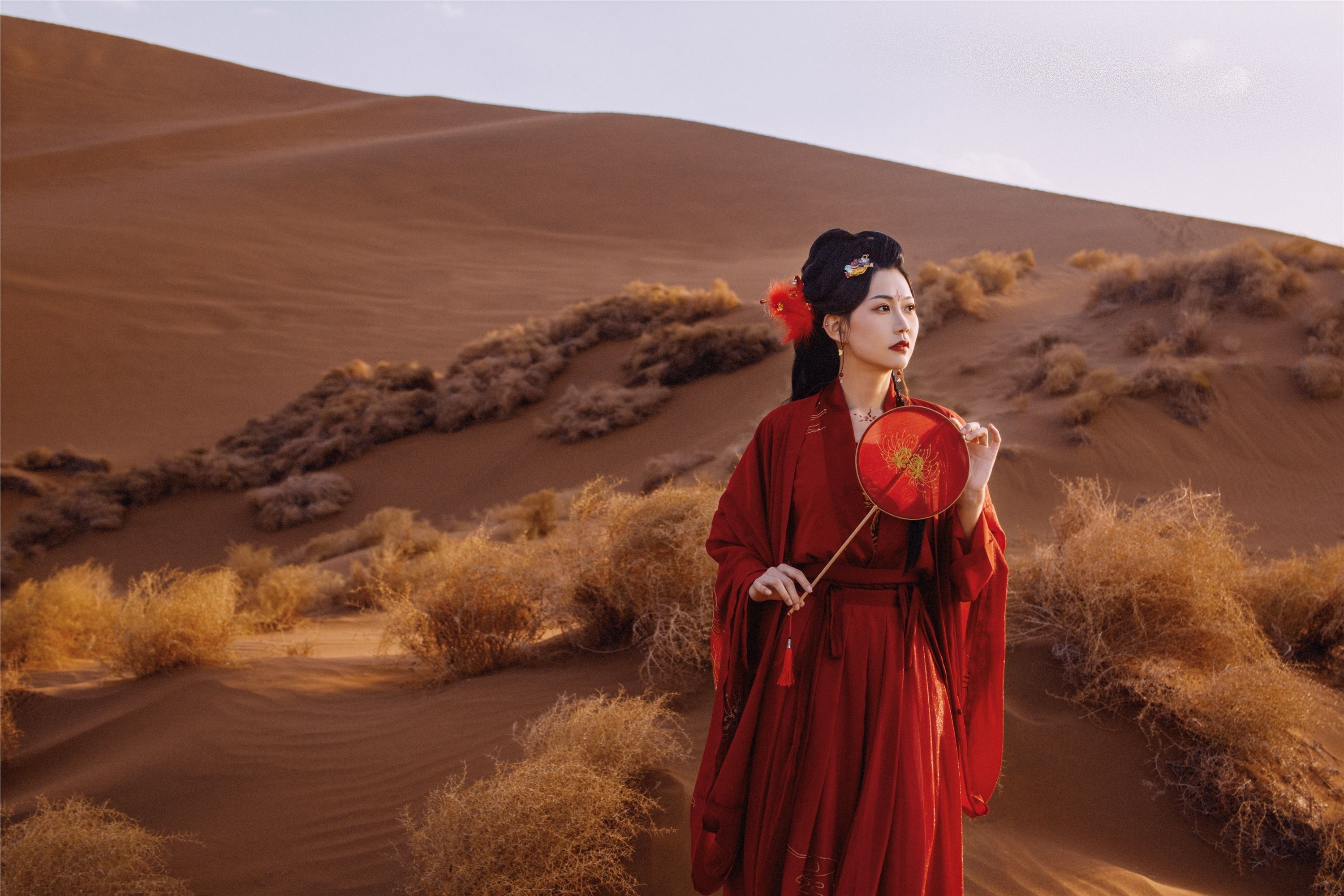 YITUYU艺图语 2021.09.08 漠上行 兔小白